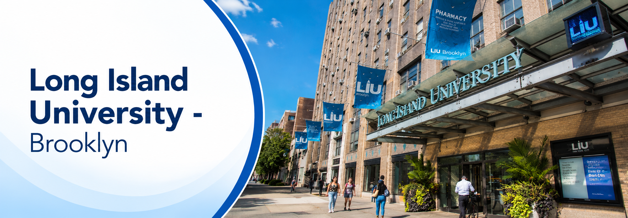 banner Long Island University - Brooklyn (LIU Brooklyn)