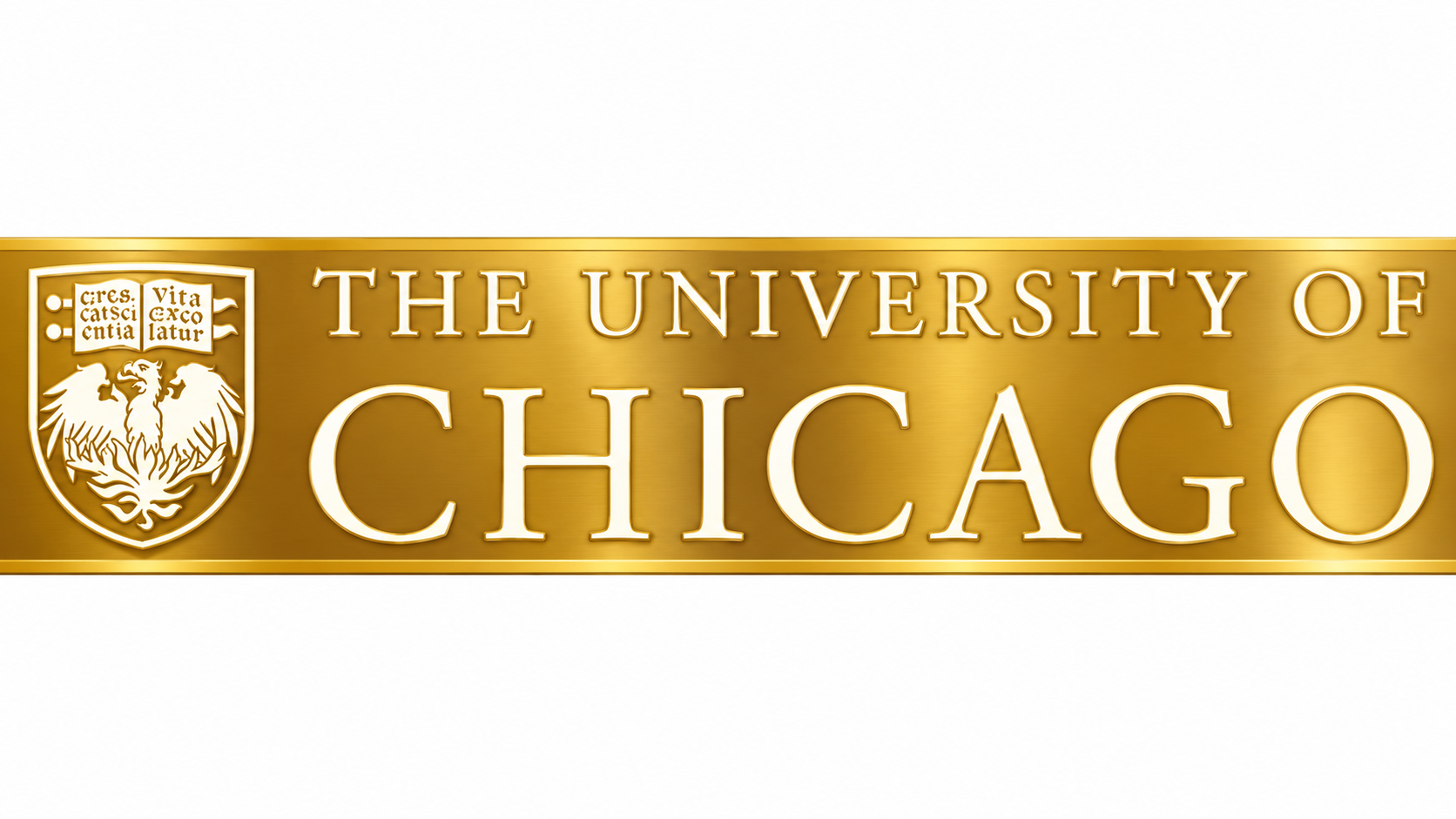 logo University of Illinois at Chicago