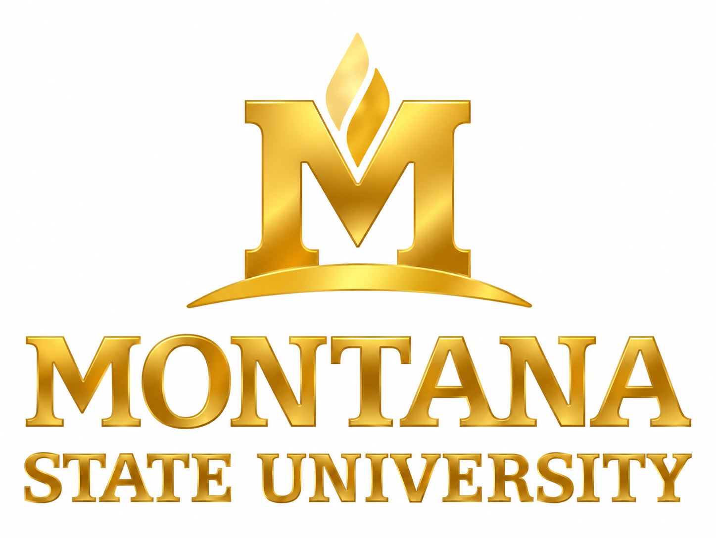 logo Montana State University