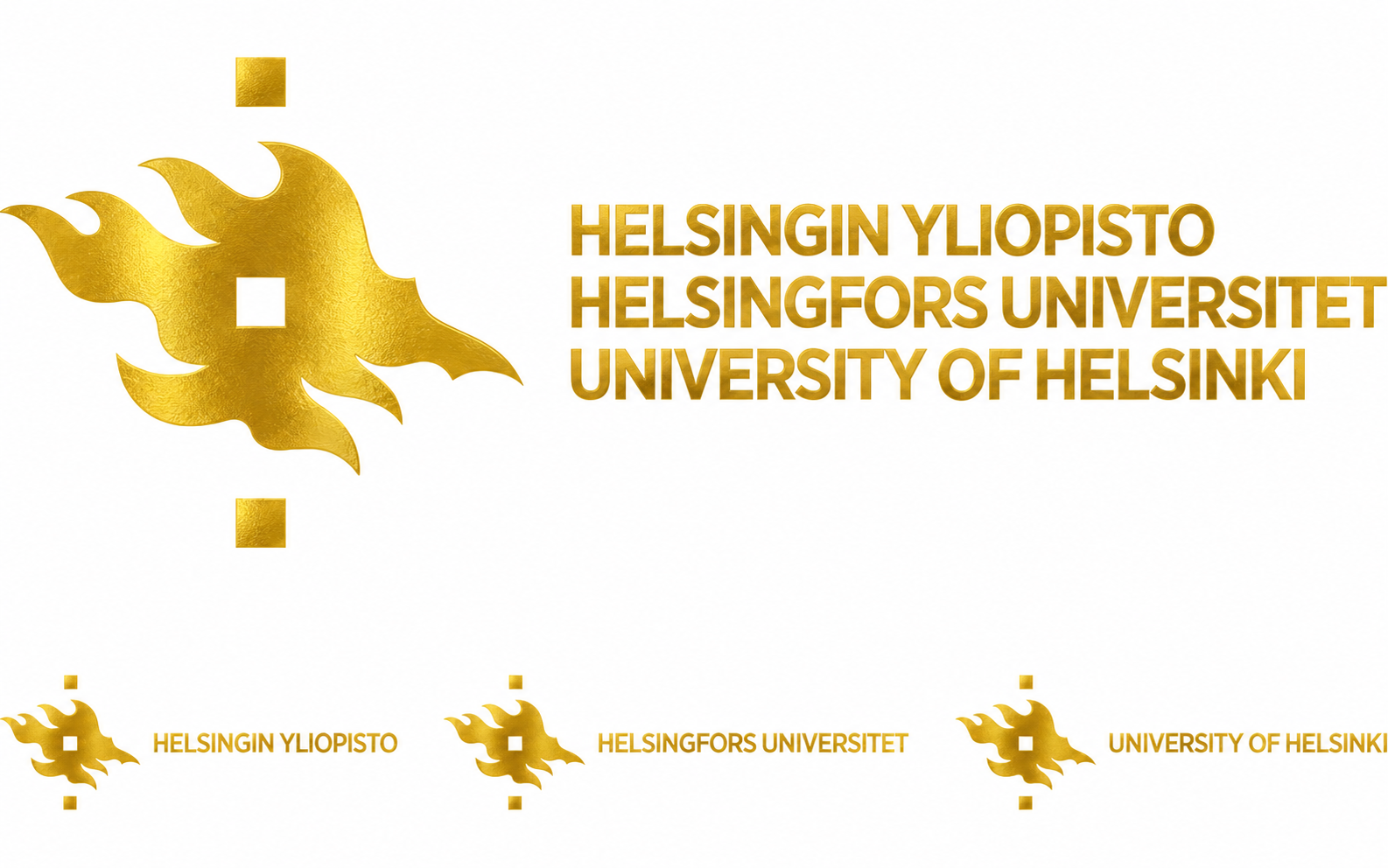 Helsinki University